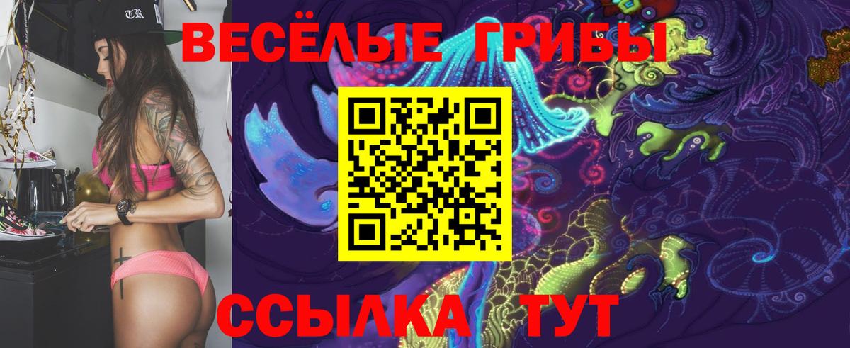 Псилоцибиновые грибы Psilocybe Кохма