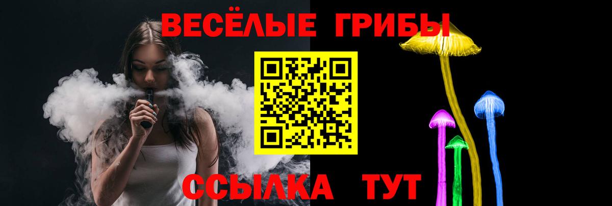 Псилоцибиновые грибы Cubensis  Вход с VPN  Кохма 